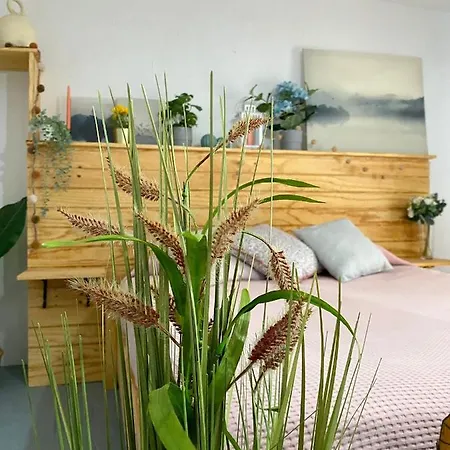 Apartment El Jardin De Lucas Arcos de la Frontera