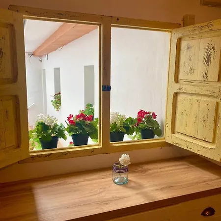 Apartamento El Jardín De Lucas *